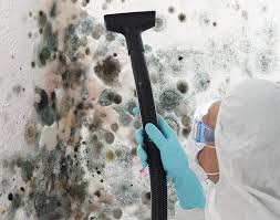 Why You Should Choose Our Mold Remediation Services in Jordan, MN